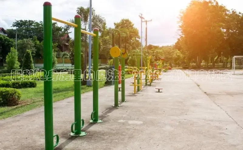 QY球友会体育网址